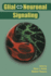 Glial  Neuronal Signaling