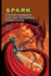 Spark: a Parallelizing Approach to the High-Level