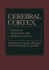Association and Auditory Cortices