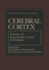 Extrastriate Cortex in Primates