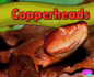 Copperheads
