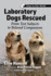Laboratory Dogs Rescued: From Test Subjects to Beloved Companions (Dogs in Our World)