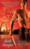 Dark Defender (Paladins of Darkness, Book 2)