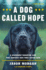 A Dog Called Hope: a Wounded Warrior and the Service Dog Who Saved Him