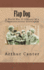 Flap Dog: a World War II Odyssey of a Communications Interceptor