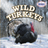 Wild Turkeys (American Animals)