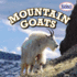 Mountain Goats (American Animals, 4)