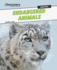 Endangered Animals (Discovery Education: Habitats)