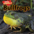 Bullfrogs (Animal Cannibals, 1)