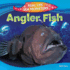 Anglerfish