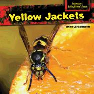 Yellow Jackets (Scavengers: Eating Nature's Trash)