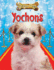Yochons