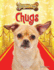 Chugs