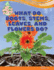 What Do Roots, Stems, Leaves, and Flowers Do? (the World of Plants)