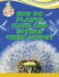 How Do Plants Make and Spread Their Seeds? (the World of Plants)