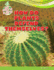 How Do Plants Defend Themselves? (the World of Plants)