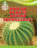How Do Plants Defend Themselves?