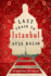 Last Train to Istanbul: a Novel