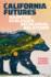 California Futures: Haunted Ecologies, Decolonial Relations
