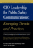 Cio Leadership for Public Safety Communications: Emerging Trends & Practices