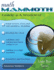 Math Mammoth Grade 2-a Worktext