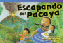 Escapando Del Pacaya