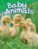 Baby Animals (Science Readers: Content and Literacy)