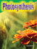 Teacher Created Materials-Science Readers: Content and Literacy: Photosynthesis-Grade 3-Guided Reading Level O