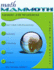 Math Mammoth Grade 3-B Worktext