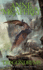 Dragondrums (Harper Hall of Pern)