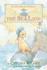 The Sea Lion (7) (Lighthouse Family)