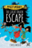 The Great Drain Escape Format: Paperback