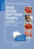 Small Animal Soft Tissue Surgery: Self-Assessment Color Review, Second Edition