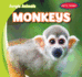 Monkeys (Jungle Animals, 3)
