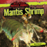 Mantis Shrimp (Bad to the Bone: Nastiest Animals)