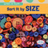 Sort It By Size (First Concepts: Sort It Out! , 3)