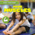 Your Muscles (Know Your Body)