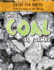 How Coal is Formed (From the Earth: How Resources Are Made)