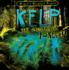 Kelp: the Underwater Forest! (World's Weirdest Plants)