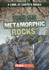 What Are Metamorphic Rocks? (a Look at Earth's Rocks)