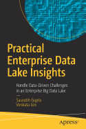 Practical Enterprise Data Lake Insights