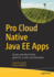 Pro Cloud Native Java Ee Apps Ghazy Abdallah, Luqman Saeed