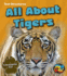 All About Tigers: a Description Text (Heinemann First Library: Text Structures)