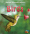 Birds (Pocket Spotters)