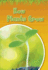How Plants Grow