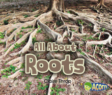 All About Roots