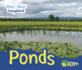 Ponds (Water, Water Everywhere! )