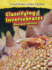 Classifying Invertebrates (Classifying Living Things)