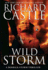 Wild Storm: a Derrick Storm Thriller (a Derrick Storm Thriller, 2)