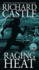 Raging Heat (Nikki Heat, 6)